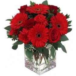 Romantic red color flowers